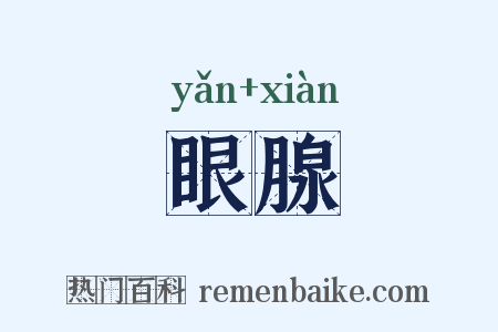 眼腺是什么意思的图片